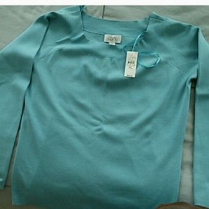 Ann Taylor loft sweater